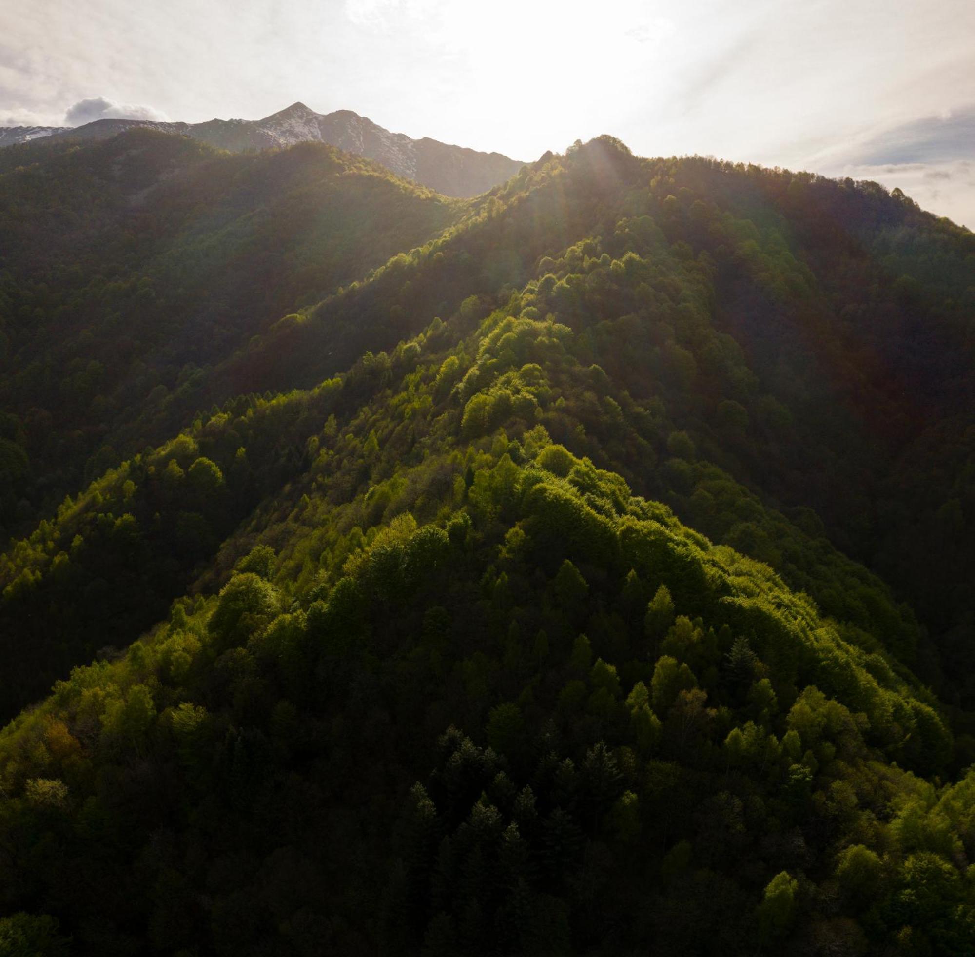 Bed and Breakfast Iduevagamondi - Ospitalita Rurale Famigliare Di Montagna Chiusa di Pesio Exteriér fotografie